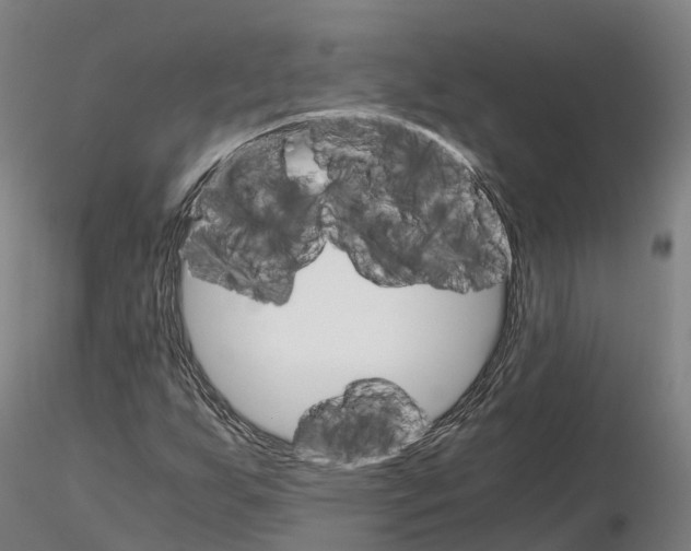 X0000115701255200912031457