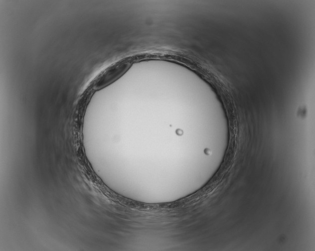 X0000115701256200912031457