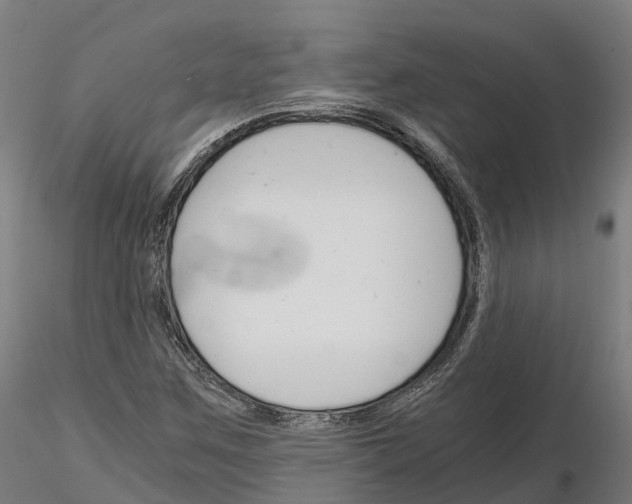 X0000115701259200912031457