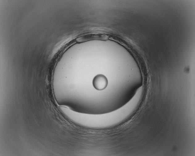 X0000115701261200912031457