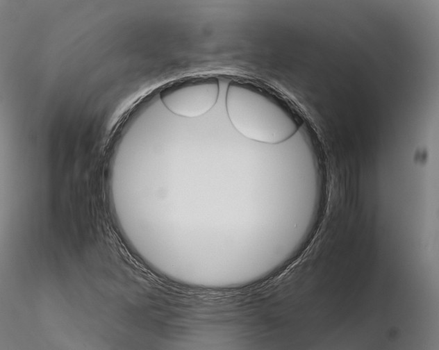 X0000115701262200912031457