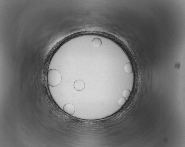 X0000115701263200912031457