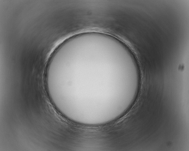 X0000115701264200912031457