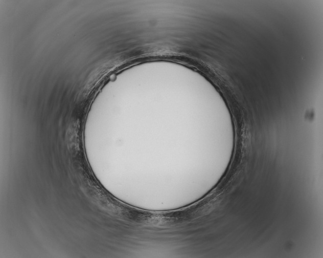 X0000115701265200912031457