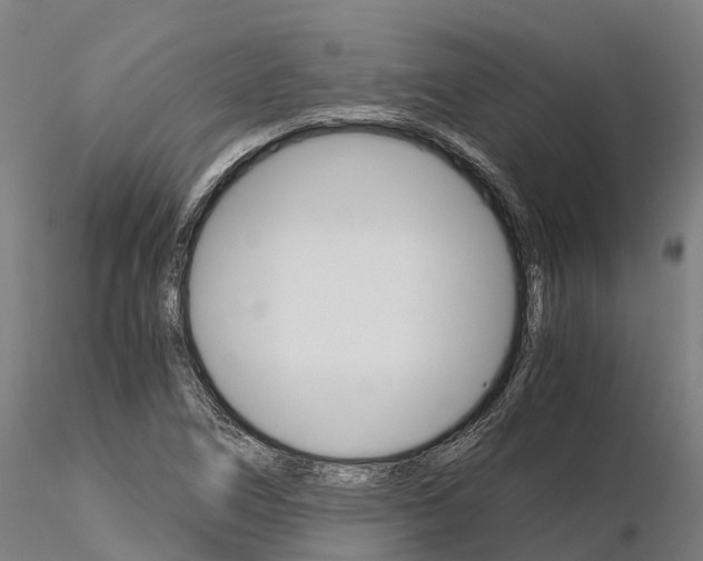 X0000115701266200912031457