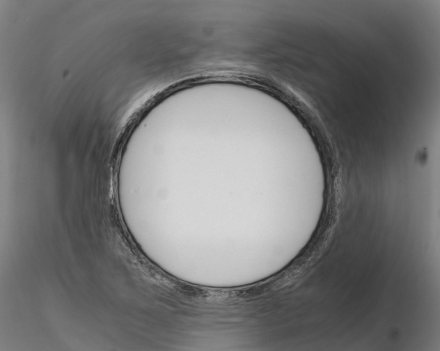 X0000115701267200912031457