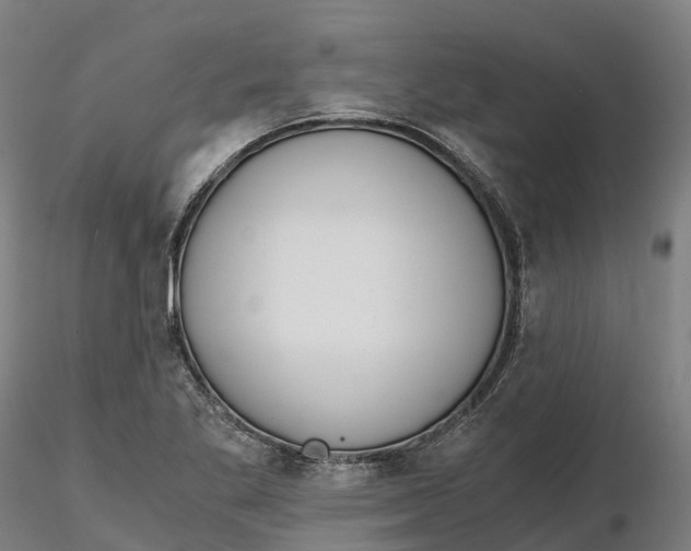 X0000115701269200912031457