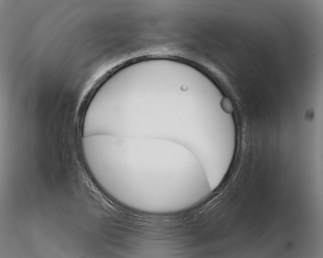 X0000115701270200912031457