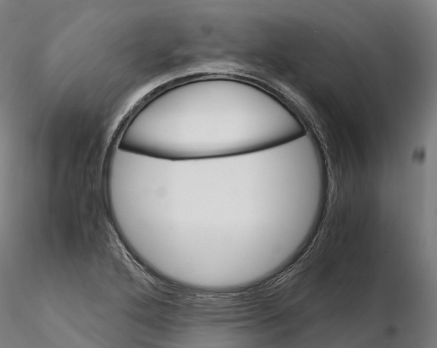 X0000115701272200912031457