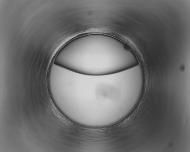 X0000115701276200912031457