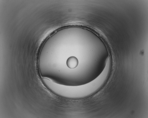 X0000115701277200912031457