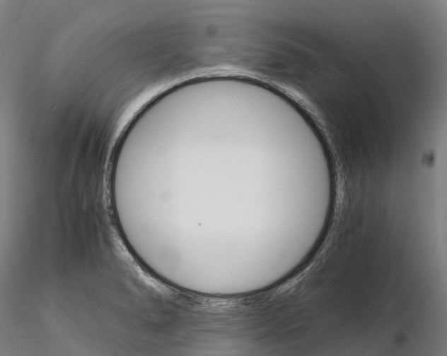 X0000115701278200912031457