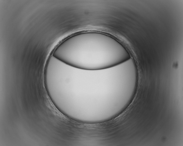 X0000115701280200912031457