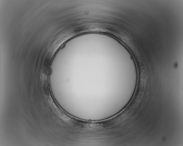 X0000115701281200912031457