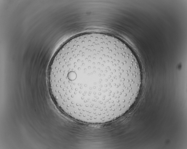 X0000115701283200912031457