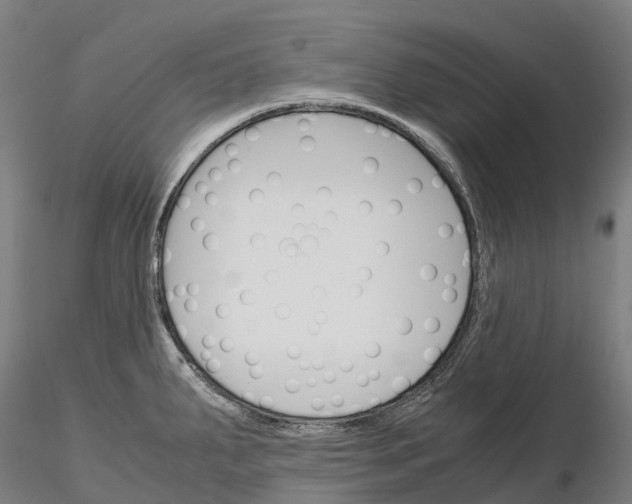 X0000115701287200912031457