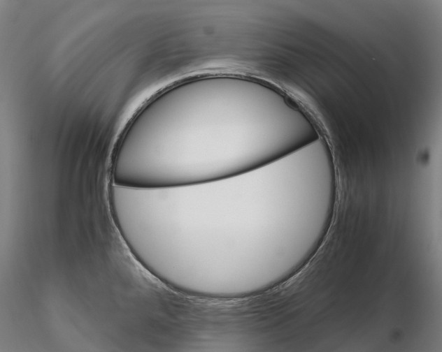 X0000115701288200912031457