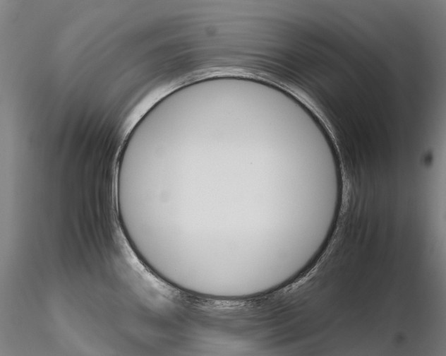 X0000115701290200912031457