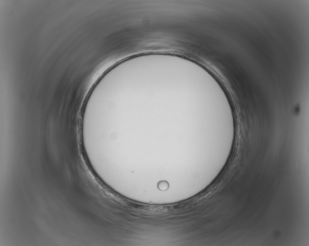 X0000115701291200912031457