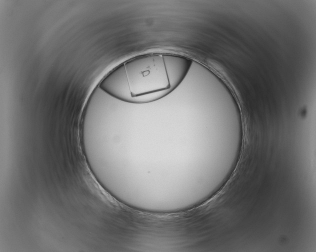 X0000115701292200912031457