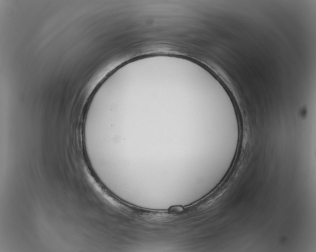 X0000115701293200912031457