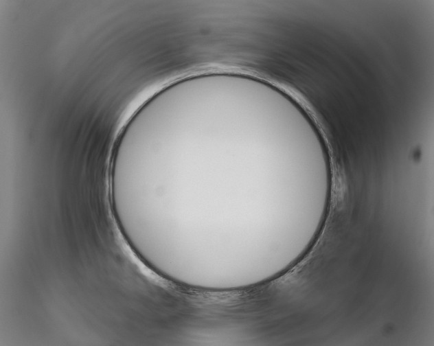 X0000115701294200912031456