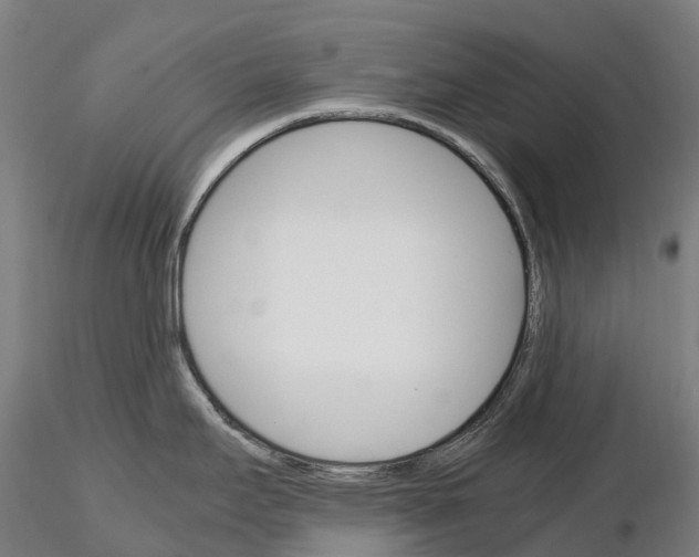 X0000115701295200912031456