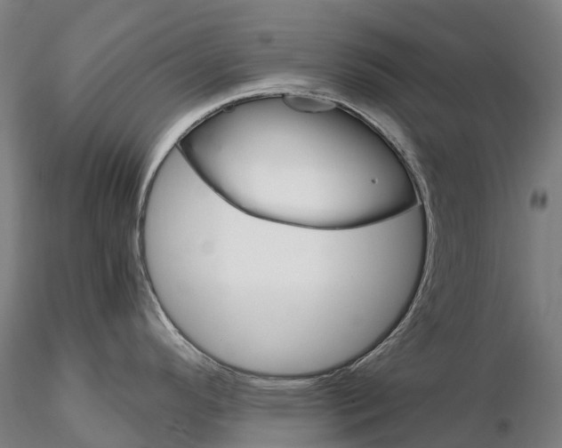 X0000115701296200912031456