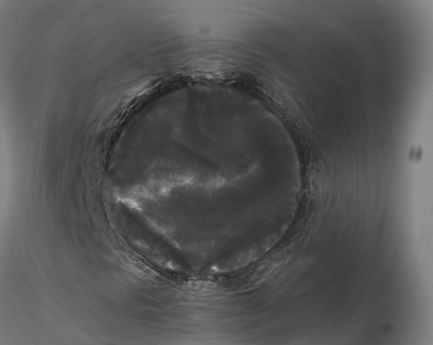 X0000115701297200912031456