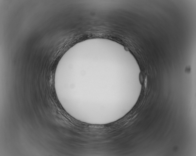 X0000115701299200912031456