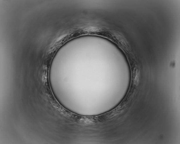 X0000115701301200912031456