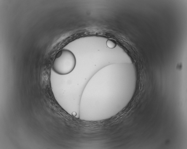 X0000115701302200912031456