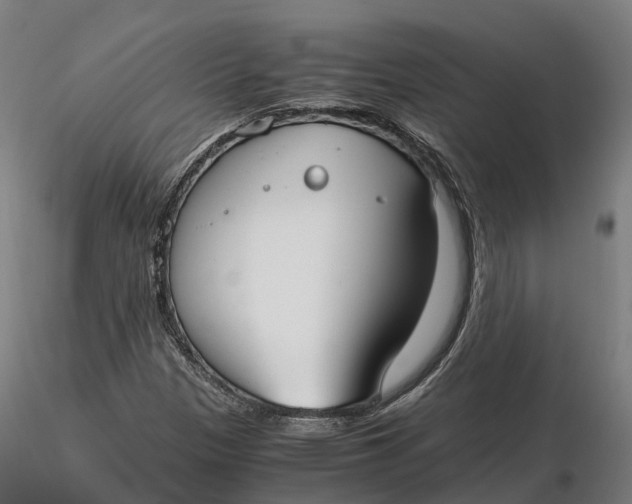 X0000115701305200912031456