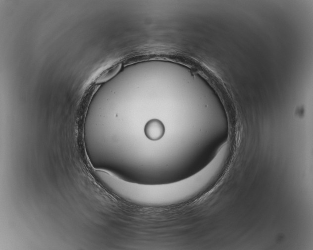 X0000115701309200912031456