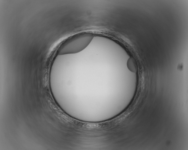 X0000115701310200912031456