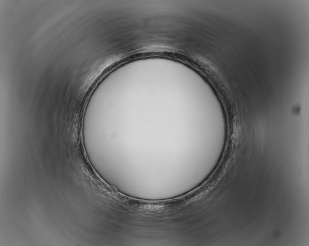 X0000115701313200912031456