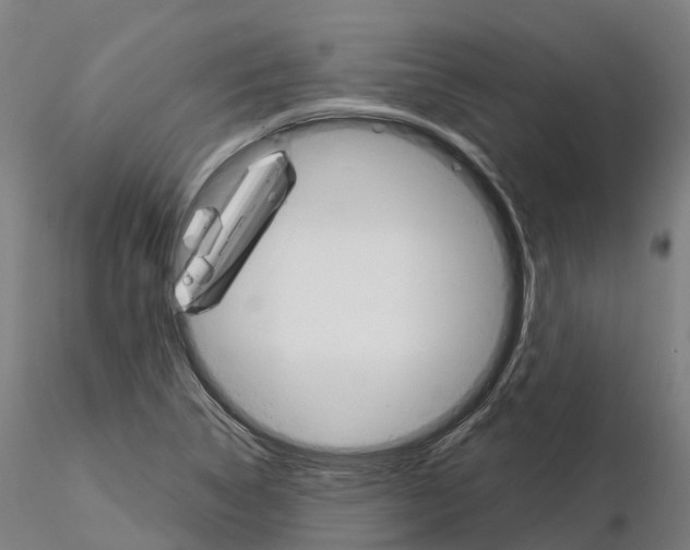 X0000115701314200912031456