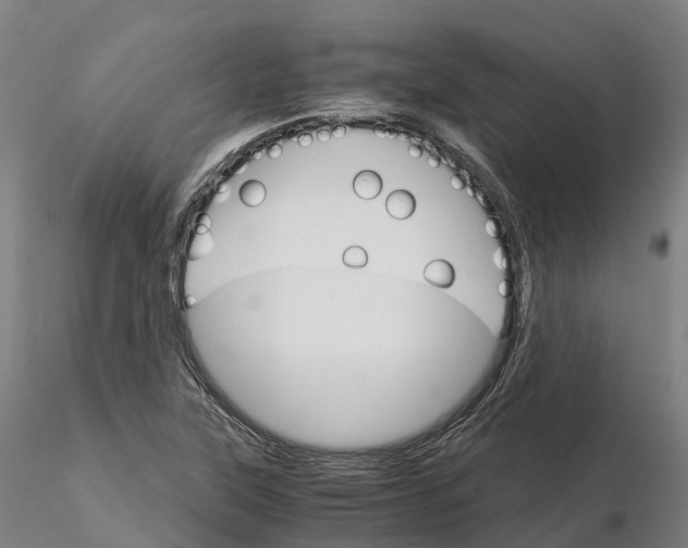 X0000115701315200912031456