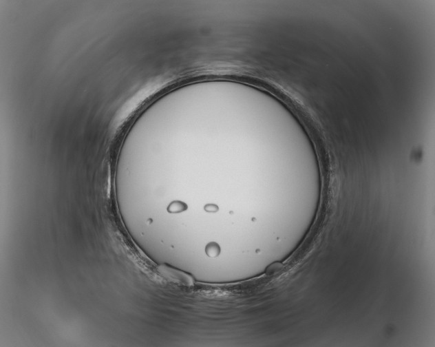 X0000115701317200912031456