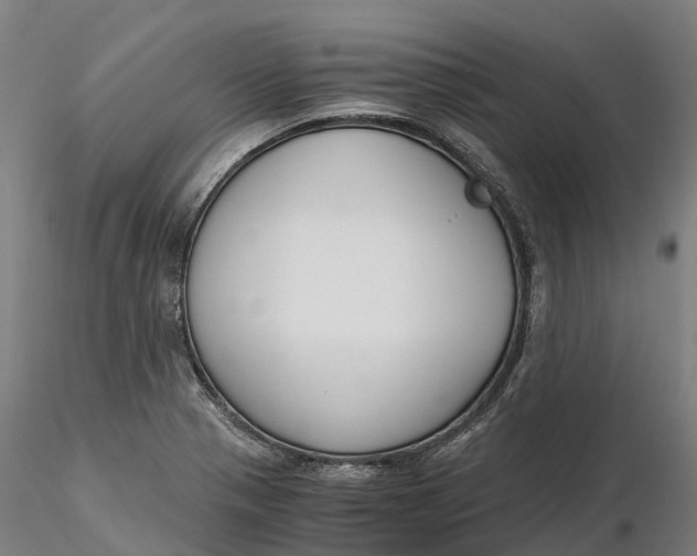 X0000115701321200912031456