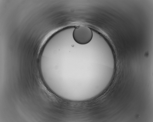 X0000115701323200912031456