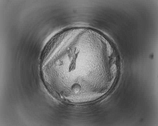 X0000115701325200912031456