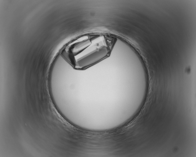 X0000115701326200912031456