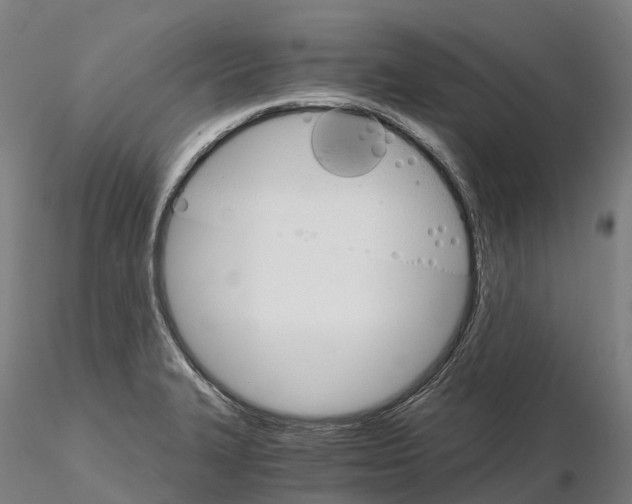 X0000115701327200912031456