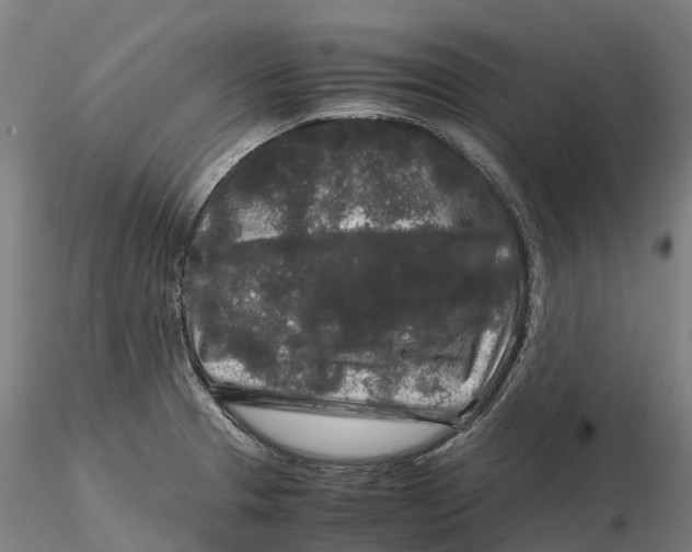 X0000115701329200912031456