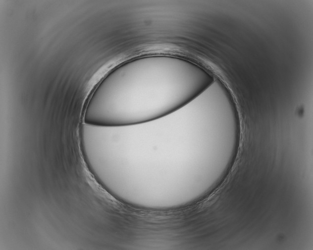 X0000115701330200912031456