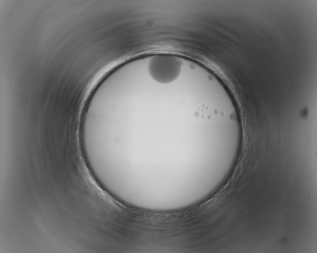 X0000115701331200912031456