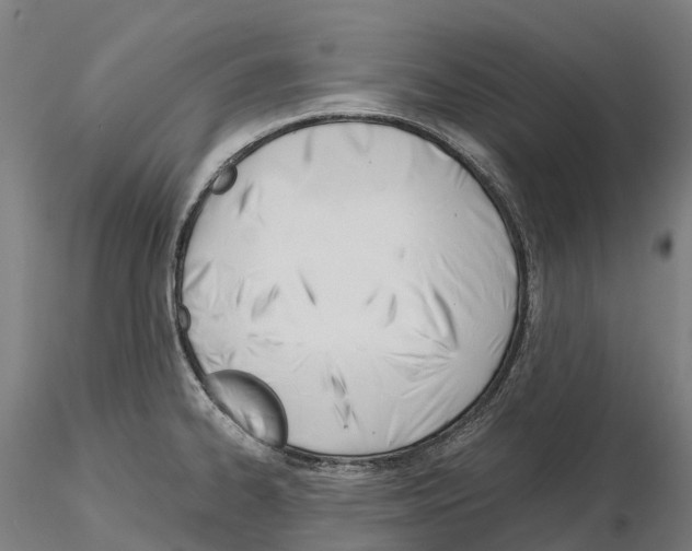 X0000115701334200912031456