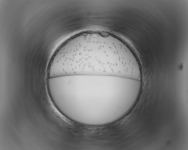 X0000115701335200912031456