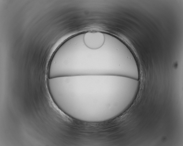 X0000115701339200912031456